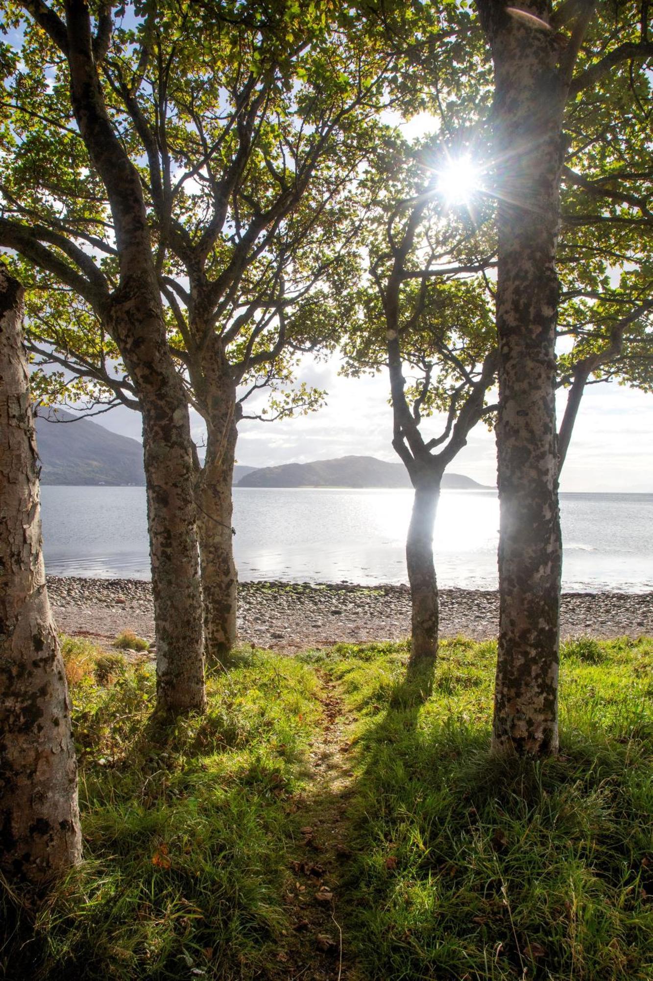 Ash, Birch And Rowan Self Catering Cabins Онич Екстериор снимка